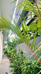 Serangoon Garden Estate (D19), Semi-Detached #580158391